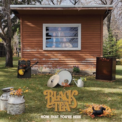 Black Tea - Living Easy Album Art