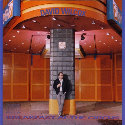 David Wilcox - Layin' Pipe Album Art