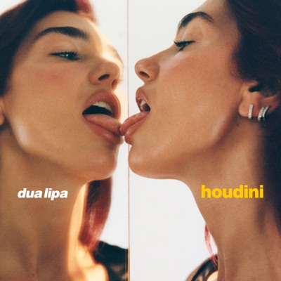 Dua Lipa - Houdini. Album Art