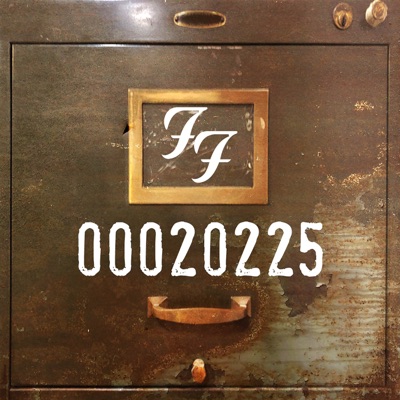 FOO FIGHTERS - TIMES LIKE THESE (acoustic) Album Art