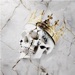 HEART OF STONE
