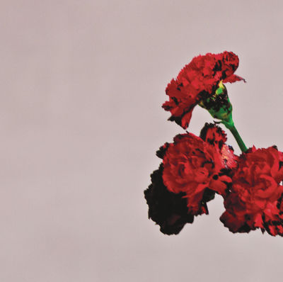 JOHN LEGEND - ALL OF ME Album Art