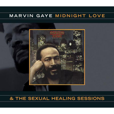 MARVIN GAYE - SEXUAL HEALING Album Art