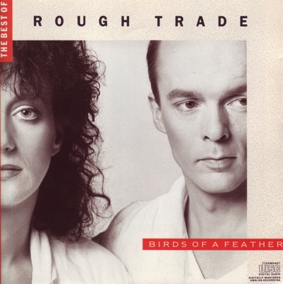 Rough Trade - HIGHSCHOOL CONFIDENTIAL Album Art