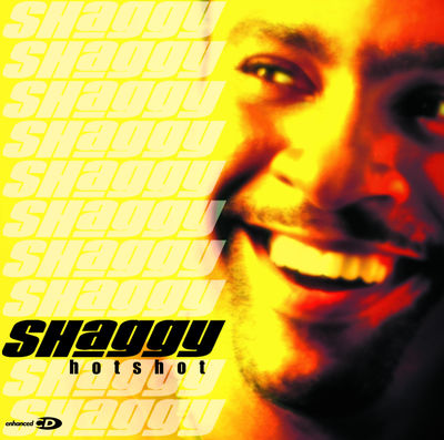 SHAGGY - ANGEL Album Art