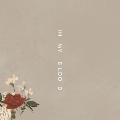 Shawn Mendes - In My Blood Album Art