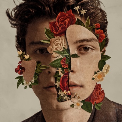 SHAWN MENDES - WHY WHY WHY Album Art