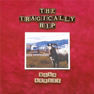 Tragically Hip - Fiddlers Green Album Art