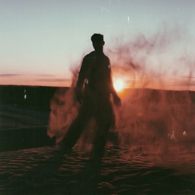 TYLER SHAW - RUN TO YOU Album Art
