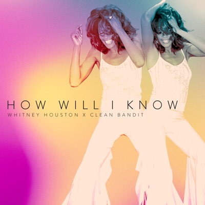 Whitney Houston f Clean Bandit - How Will I Know Album Art